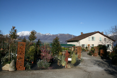 Aktuelles Foto vom 27.03.2015
