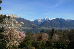 Aktuelles Foto vom 18.03.2014