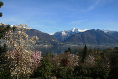 Aktuelles Foto vom 18.03.2014