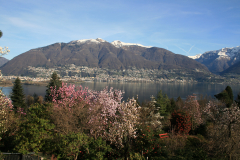 Aktuelles Foto vom 18.03.2014