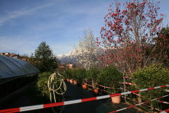 Aktuelles Foto vom 18.03.2014