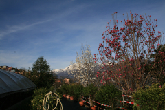 Aktuelles Foto vom 18.03.2014