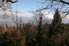Aktuelles Foto vom 29.03.2013