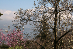 Aktuelles Foto vom 29.03.2013