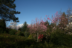 Aktuelles Foto vom 27.03.2015