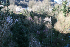 Aktuelles Foto vom 27.03.2015
