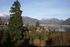Aktuelles Foto vom 18.03.2014