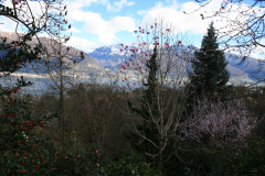 Aktuelles Foto vom 16.03.2014