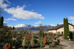 Aktuelles Foto vom 16.03.2014