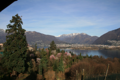 Aktuelles Foto vom 18.03.2014