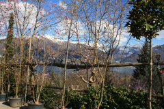 Aktuelles Foto vom 16.03.2014