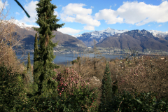 Aktuelles Foto vom 16.03.2014