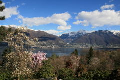 Aktuelles Foto vom 16.03.2014