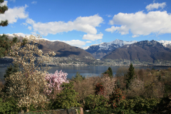 Aktuelles Foto vom 16.03.2014