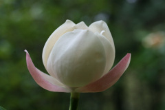 Aktuelles Foto vom 01.05.2011
