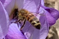 Aktuelles Foto vom 21.04.2019