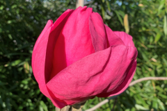 Aktuelles Foto vom 22.03.2019