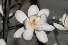 Aktuelles Foto vom 28.03.2017