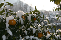 Aktuelles Foto vom 03.02.2012
