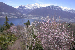 Aktuelles Foto vom 27.04.2022