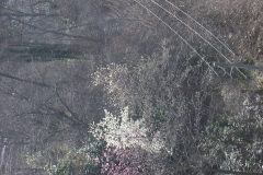 Aktuelles Foto vom 27.04.2022