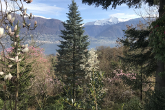 Aktuelles Foto vom 11.04.2018