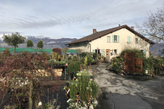 Aktuelles Foto vom 11.04.2018