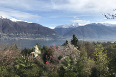 Aktuelles Foto vom 11.04.2018