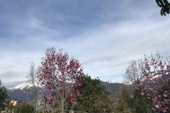 Aktuelles Foto vom 11.04.2018