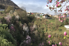 Aktuelles Foto vom 11.04.2018