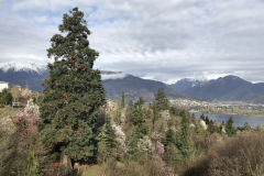 Aktuelles Foto vom 11.04.2018