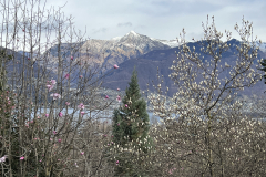 Aktuelles Foto vom 11.03.2023