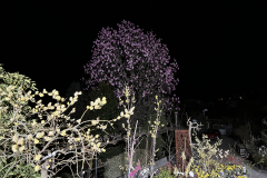Aktuelles Foto vom 14.03.2023