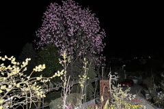 Aktuelles Foto vom 14.03.2023