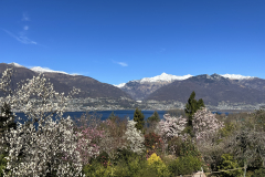 Aktuelles Foto vom 15.03.2023