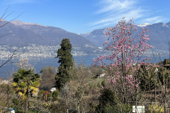 Aktuelles Foto vom 20.03.2023