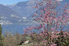 Aktuelles Foto vom 20.03.2023