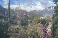 Aktuelles Foto vom 27.03.2023