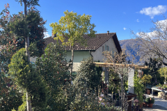 Aktuelles Foto vom 27.03.2023