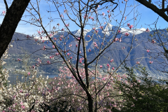 Aktuelles Foto vom 01.04.2023
