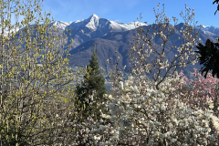 Aktuelles Foto vom 01.04.2023