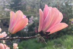 Aktuelles Foto vom 04.04.2023