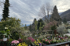 Aktuelles Foto vom 07.04.2023