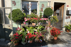 Aktuelles Foto vom 19.04.2023