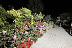 Aktuelles Foto vom 19.04.2023