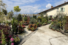 Aktuelles Foto vom 04.05.2023