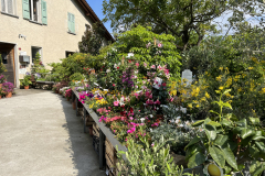 Aktuelles Foto vom 04.05.2023
