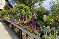 Aktuelles Foto vom 04.05.2023