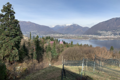 Aktuelles Foto vom 09.03.2019