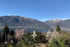 Aktuelles Foto vom 16.03.2019